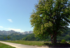 Bild T1056 Hoellengebirge.jpg